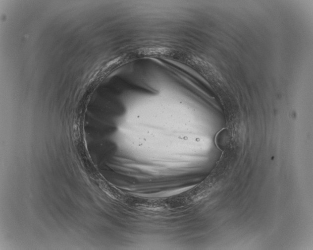 X0000081450743200701261912