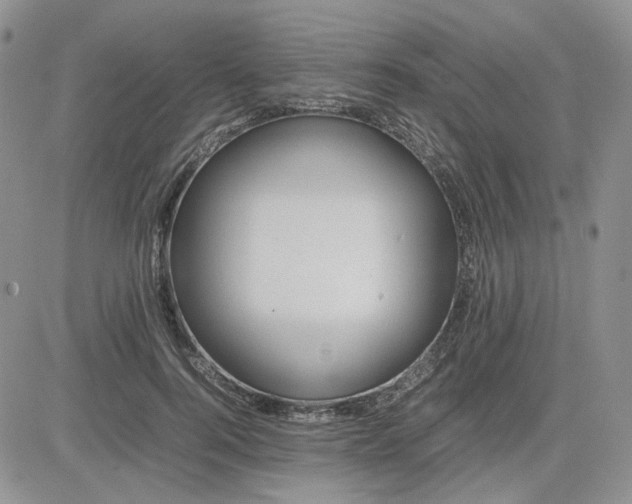 X0000081450744200701261912