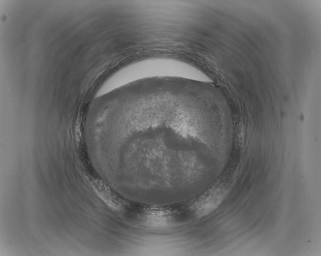 X0000081450746200701261912