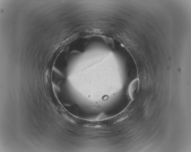 X0000081450747200701261912