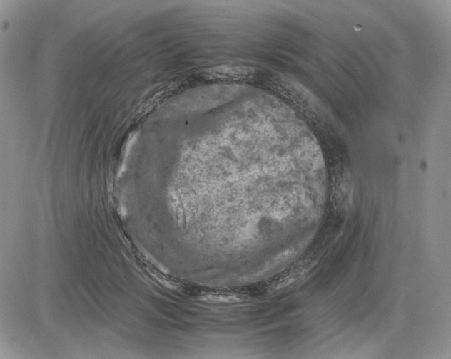 X0000081450749200701261912