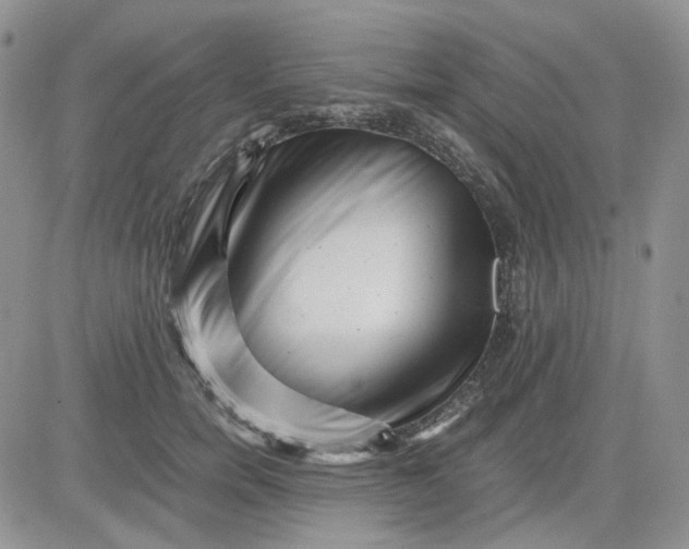 X0000081450750200701261912