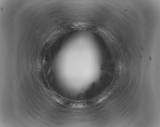 X0000081450751200701261912