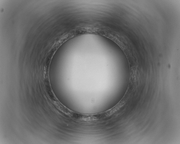 X0000081450752200701261912