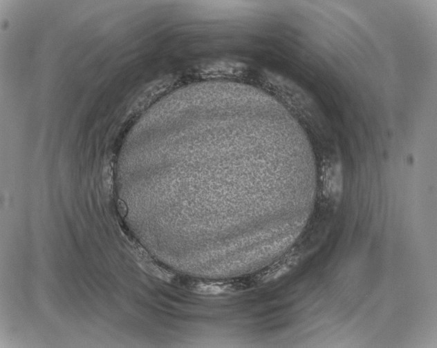 X0000081450753200701261912