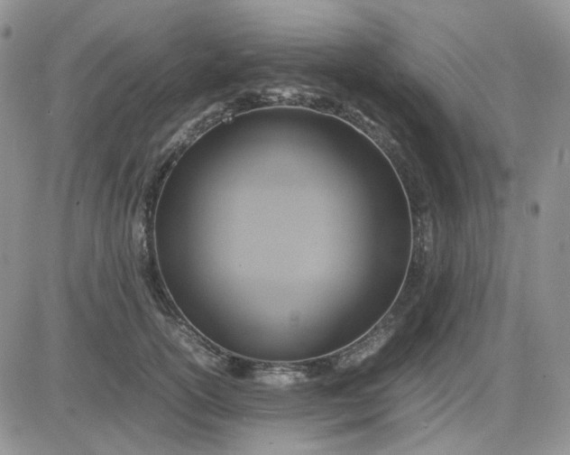 X0000081450754200701261912