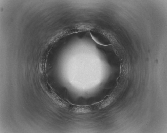 X0000081450755200701261912