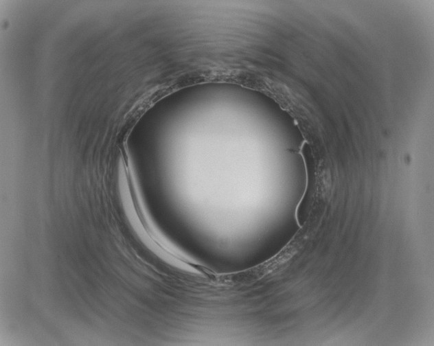 X0000081450756200701261912