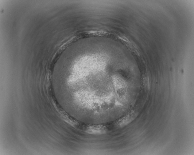 X0000081450757200701261912