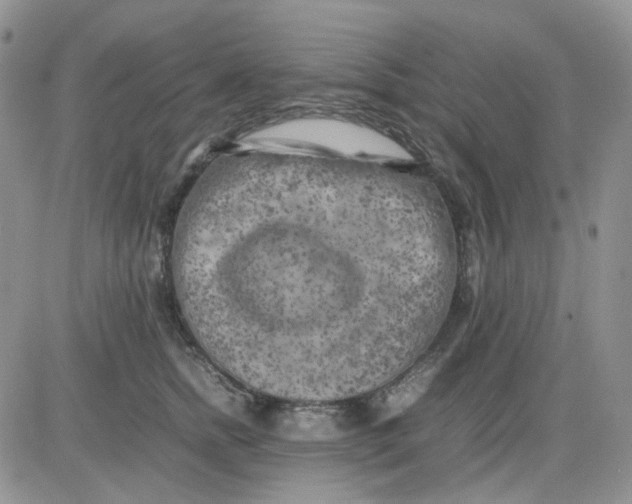 X0000081450758200701261912