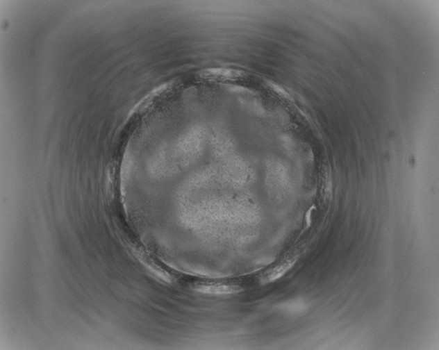 X0000081450759200701261912