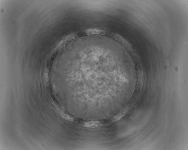 X0000081450761200701261912