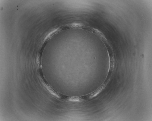 X0000081450762200701261912