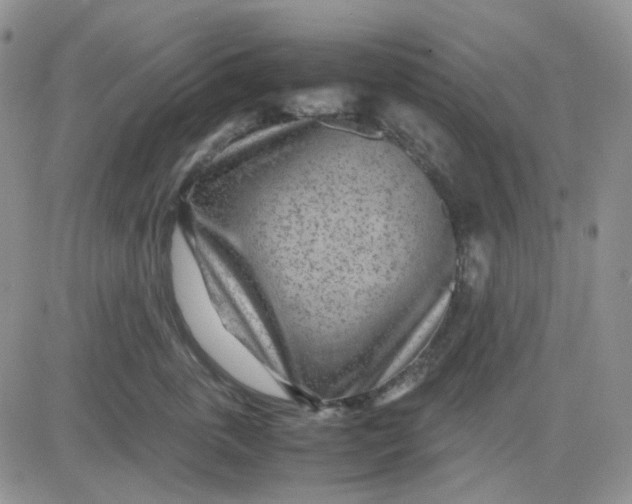 X0000081450763200701261912