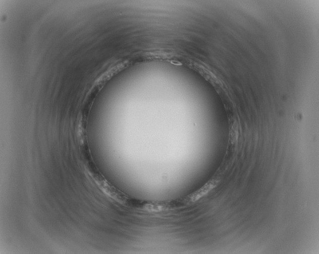 X0000081450764200701261912