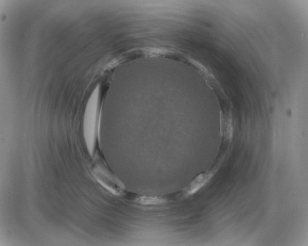 X0000081450766200701261912