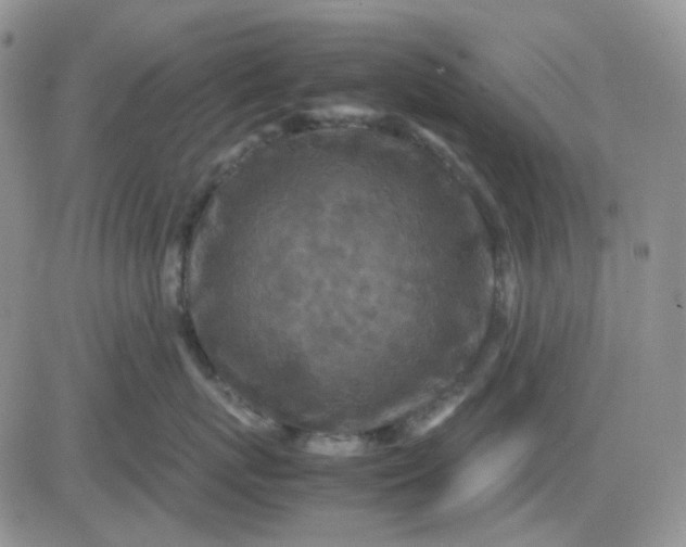 X0000081450767200701261912