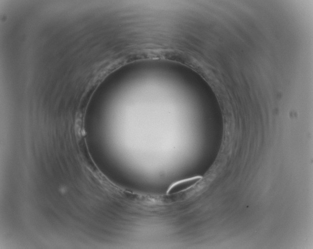 X0000081450768200701261913