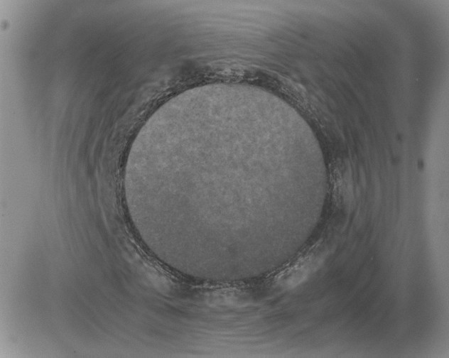 X0000081450769200701261912