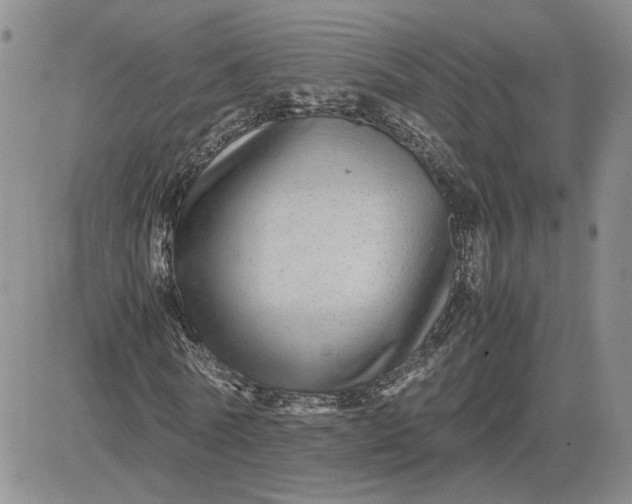 X0000081450770200701261912