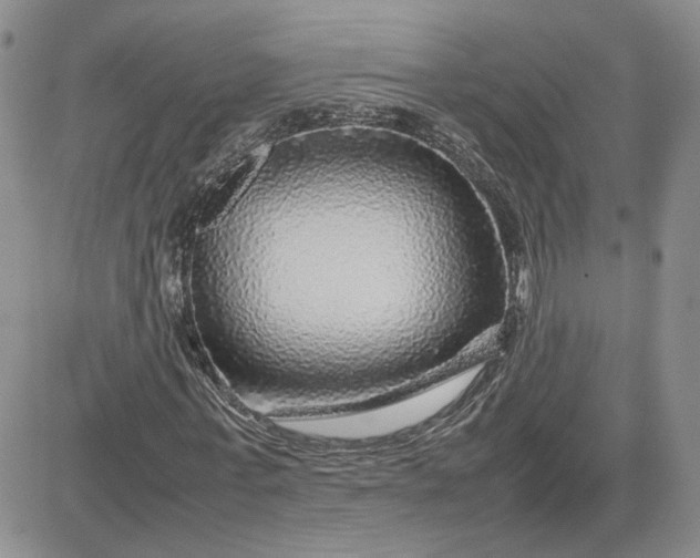 X0000081450771200701261912