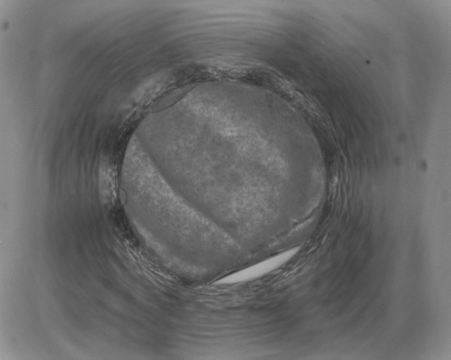 X0000081450772200701261912