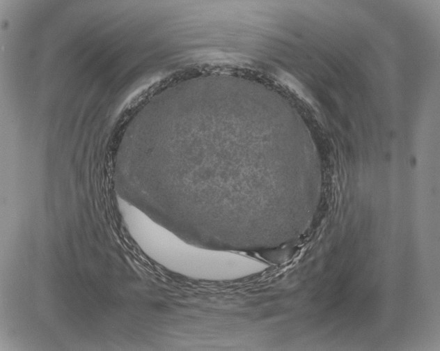 X0000081450775200701261912