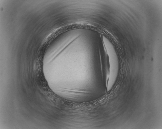 X0000081450776200701261912