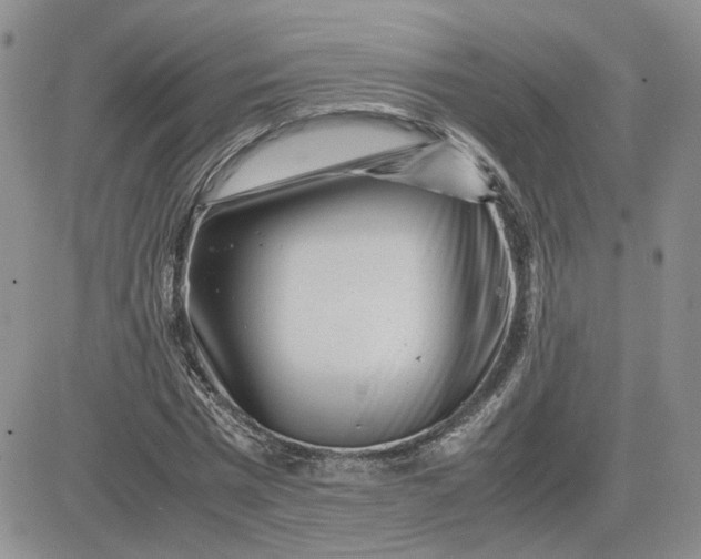 X0000081450777200701261912