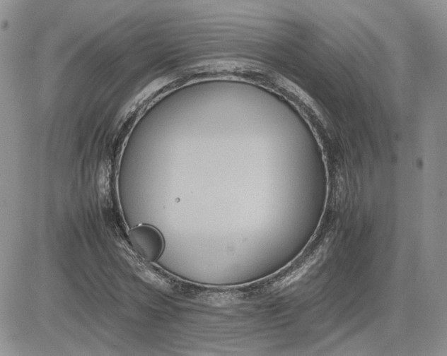 X0000081450778200701261912