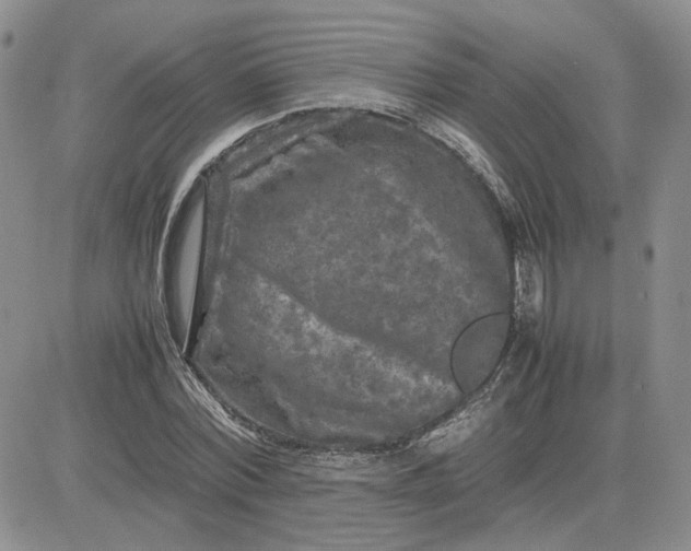 X0000081450780200701261912