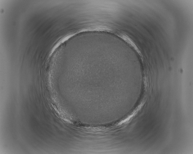 X0000081450781200701261912