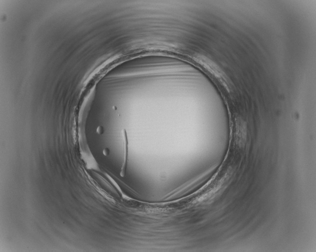 X0000081450782200701261912