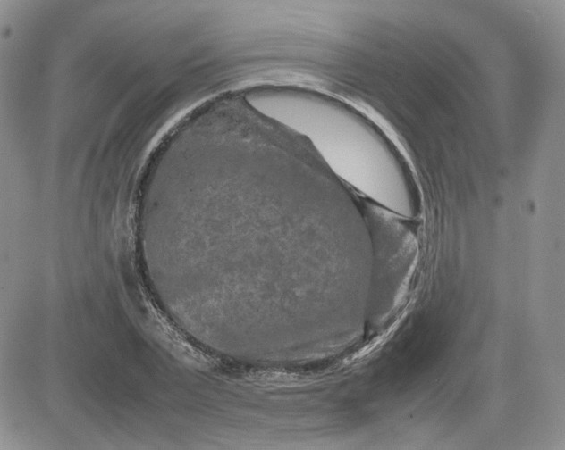 X0000081450783200701261911