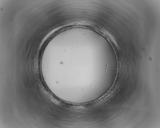 X0000081450784200701261911