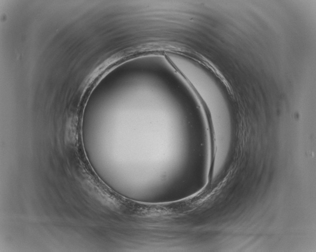 X0000081450786200701261911