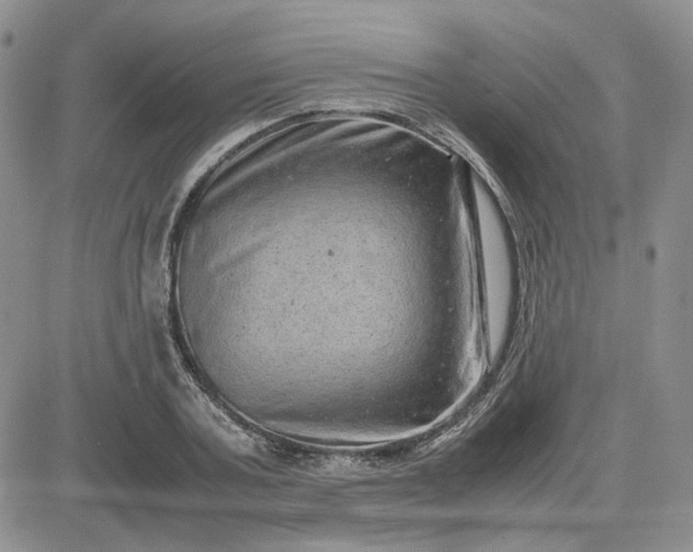 X0000081450787200701261911