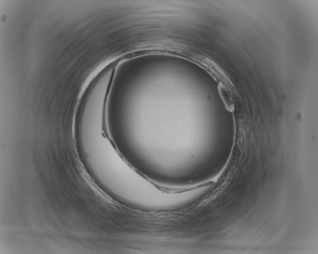 X0000081450788200701261911