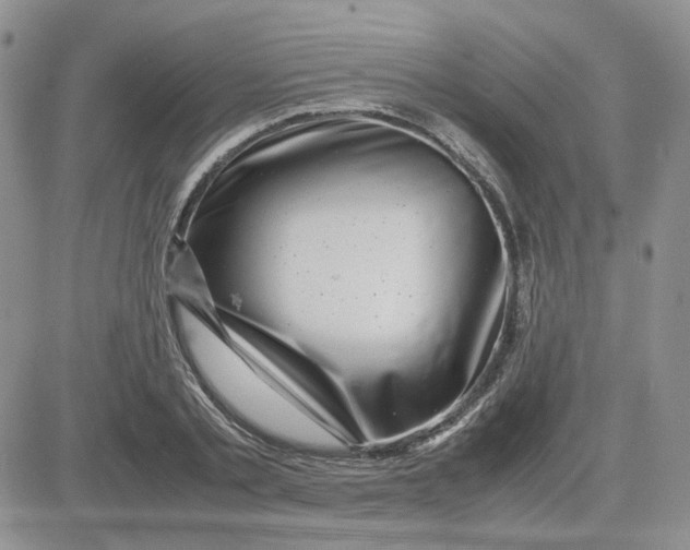 X0000081450789200701261911