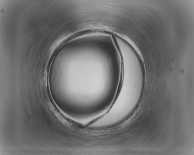 X0000081450791200701261911