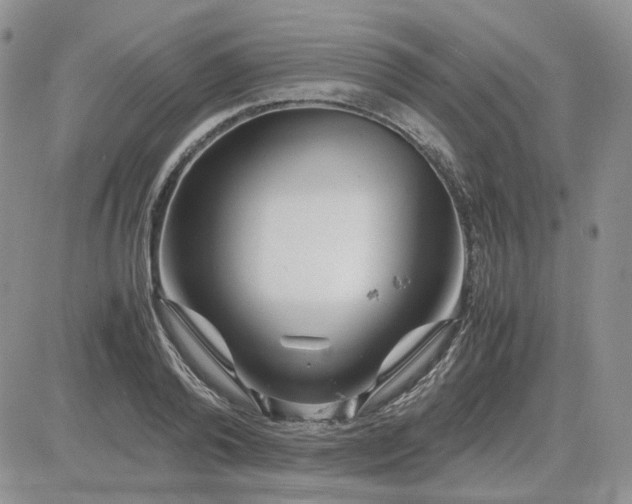 X0000081450792200701261911