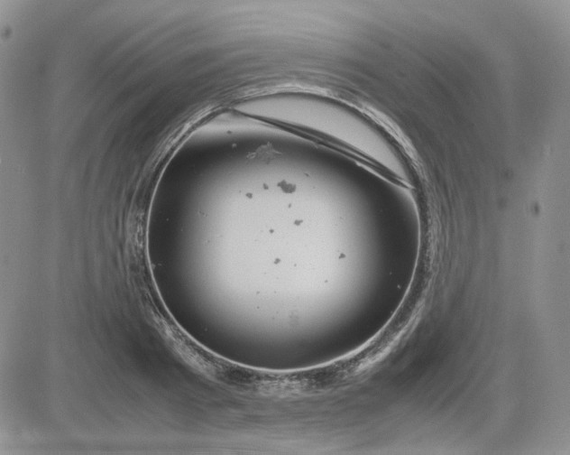 X0000081450793200701261911