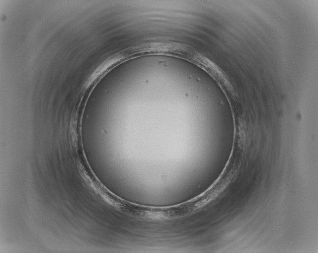 X0000081450794200701261911