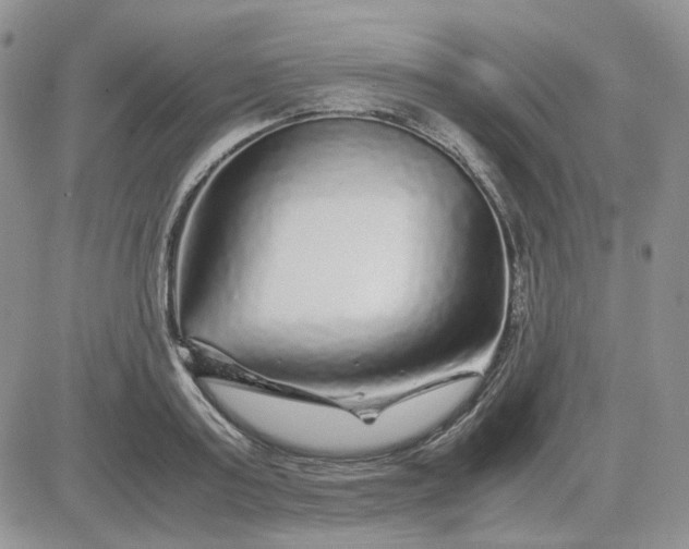 X0000081450795200701261911