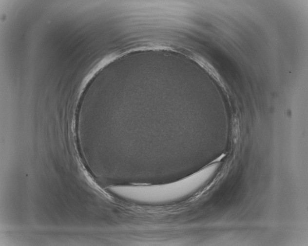 X0000081450797200701261911