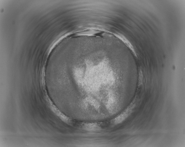 X0000081450798200701261911