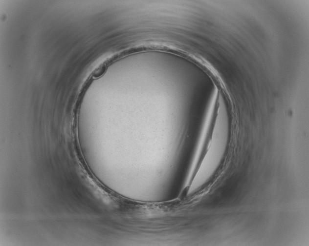 X0000081450799200701261911