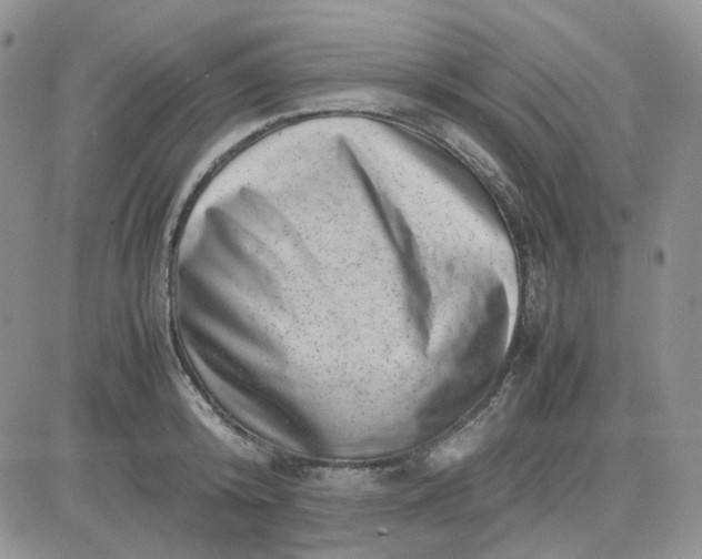 X0000081450800200701261911