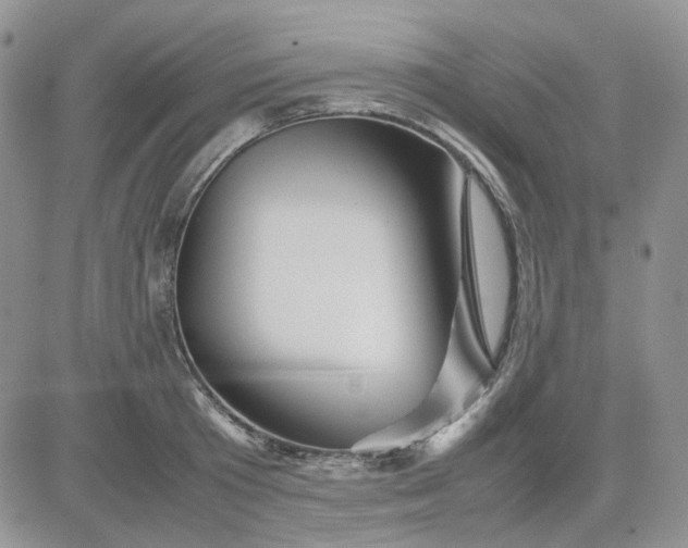 X0000081450801200701261911