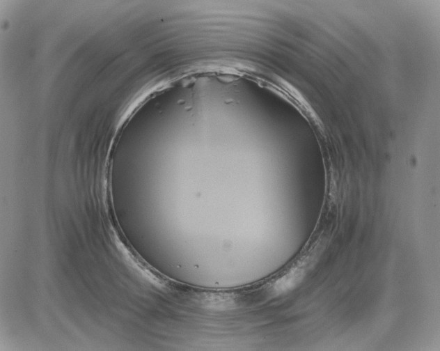 X0000081450802200701261911